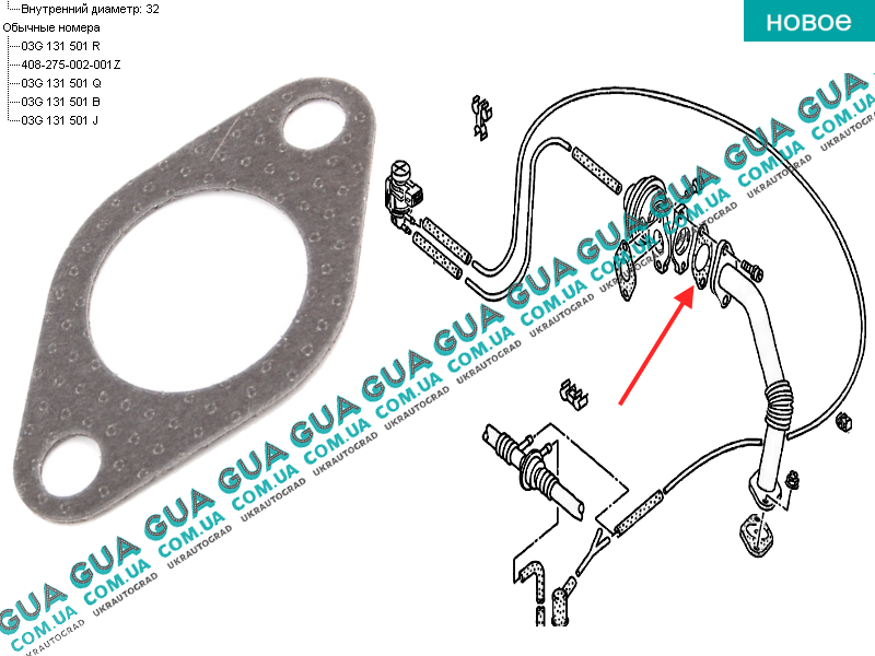 Мексикалық әйелдердің есектері семіз.