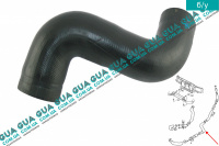 Патрубок интеркулера ( от турбины к радиатору )