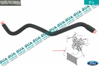 Шланг / патрубок системы охлаждения ( трубка от радиатора к расширительному бачку )