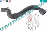 Патрубок / шланг системы охлаждения ( трубка )