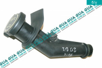 Маслозаливная горловина