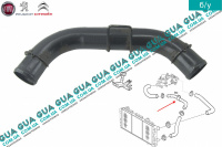 Патрубок  системы охлаждения ( трубка от радиатора к термостату )