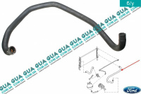 Патрубок / шланг системы охлаждения (патрубок радиатора ) (трубка)