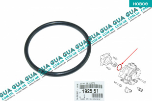 Прокладка / уплотнительное кольцо  топливного насоса ТНВД 50х44х3   