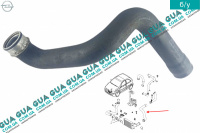 Патрубок интеркулера ( от радиатора к коллектору )