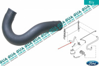 Патрубок / шланг системы охлаждения ( патрубок радиатора )  (трубка )