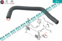 Патрубок / шланг системы охлаждения ( трубка радиатора нижняя )