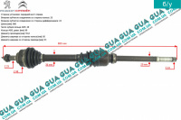 Полуось передняя правая 24/25 ( привод в зборе с шрусами c АБС / ABS )