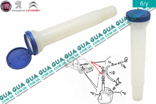 Горловина бачка стеклоомывателя ( стеклоочистителя лобового окна )   