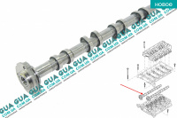 Распредвал выпускной ( распределительный вал ) Ford / ФОРД TRANSIT 2006- / ТРАНЗИТ 06- 2.4TDCI (2402 куб.см)