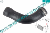 Патрубок интеркулера ( от радиатора к коллектору )