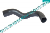 Патрубок радиатора нижний