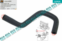 Патрубок масляного радиатора / трубка системы охлаждения ( шланг теплообменника )