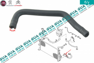 Патрубок / шланг системы охлаждения ( трубка радиатора нижняя )   