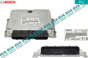 Электронный блок управления двигателем ( ЭБУ / ECU )   