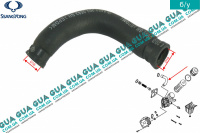 Патрубок / трубка системы охлаждения масла ( теплообменника ) SsangYong / САНГЙОНГ KYRON 2.0XDI (1998 куб.см.)