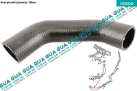 Патрубок интеркулера нижний левый ( от турбины к радиатору )