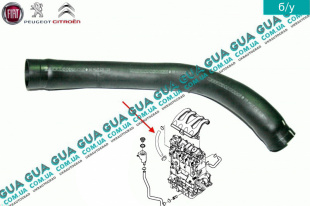  Патрубок вентиляции картерных газов ( трубка / шланг сапуна )   