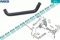 Патрубок / трубка системы охлаждения ( шланг )