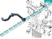 Патрубок радиатора 2004-2010 ( нижний, правый )