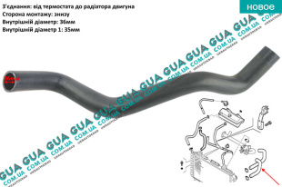 Патрубок / шланг системы охлаждения радиатора ( нижний ) Peugeot / ПЕЖО BOXER 1994-2002 / БОКСЕР 94-02 2.5D (2500 куб.см.)