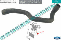 Патрубок / шланг системы охлаждения ( патрубок радиатора верхний ) ( трубка )
