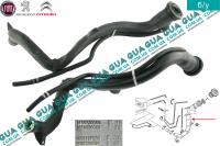 Патрубок / трубка топливной системы ( заливной горловины )