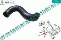 Патрубок / трубка топливной системы ( заливной горловины бака )