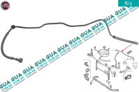 Патрубок / шланг системы охлаждения ( трубка от расширительного бачка ) )