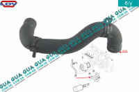 Патрубок масляного радиатора / трубка системы охлаждения ( шланг теплообменника )