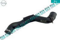 Патрубок радиатора / шланг системы охлаждения ( верхний ) 