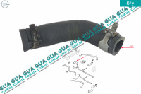 Патрубок / шланг системы охлаждения (трубка от корпуса термостата )