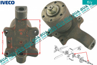 Поворотный кулак / цапфа правая с ступицей без ABS / АБС