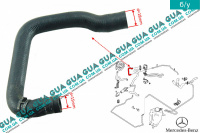 Патрубок / трубка системы охлаждения