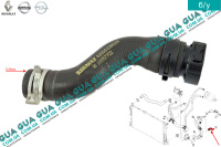 Патрубок / шланг системы охлаждения ( трубка ) Nissan / НИССАН X-Trail T31 / ИКС-ТРЭЙЛ Т31 2.0dCi (1995 куб. см.)