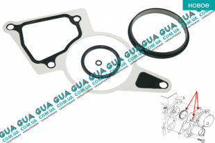 Прокладка вакуумного насоса ( комплект ) Ford / ФОРД TRANSIT ( CUSTOM ) 2013- / ТРАНЗИТ (КАСТОМ) 13- 2.2 TDCI (2198 куб.см.)