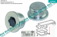 Маслосливная пробка поддона ( 26x1.5x14 )