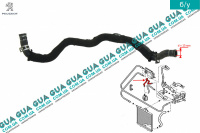 Патрубок / трубка системы охлаждения ( щланг от масляного радиатора / теплообменника  к термостату )
