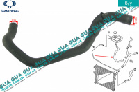 Шланг / патрубок / трубка системы охлаждения ( расширительный бачок )