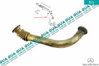 Трубка ЕГР / EGR ( Трубка картерных газов ) OM668 W168