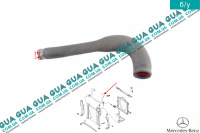 Патрубок / трубка системы охлаждения радиатора ( шланг  левый нижний )