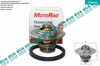 Термостат ( 79C )