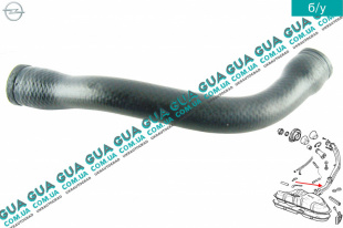 Патрубок / трубка топливной системы ( заливной горловины бака )   