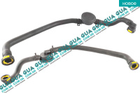 Патрубок вентиляции картерных газов / сапун ( шланг /  трубка / клапан pcv  )