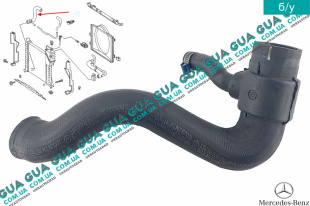 Патрубок / шланг / трубка системы охлаждения радиатора ( нижний )   