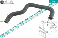 Патрубок / трубка системы охлаждения ( охлаждения EGR/ ЕГР)