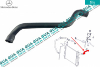 Патрубок радиатора / шланг системы охлаждения (верхний) w168