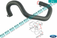 Шланг / патрубок гидроусилителя ( ГУРа ) ( трубка от насоса к бачку) Ford / ФОРД FOCUS I 1998-2004 / ФОКУС 1 98-04 1.4 V16 (1388 куб. см.)