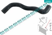 Патрубок радиатора верхний (+AC)