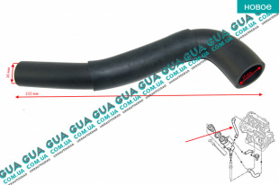 Патрубок вентиляции картерных газов ( трубка / шланг сапуна ) ( XUD )   